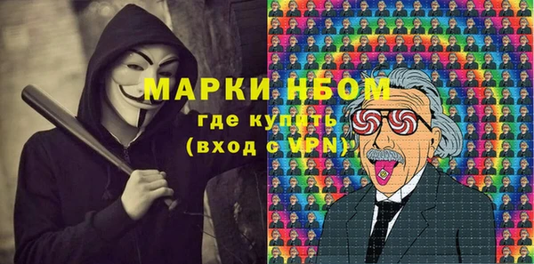 прущие грибы Елабуга