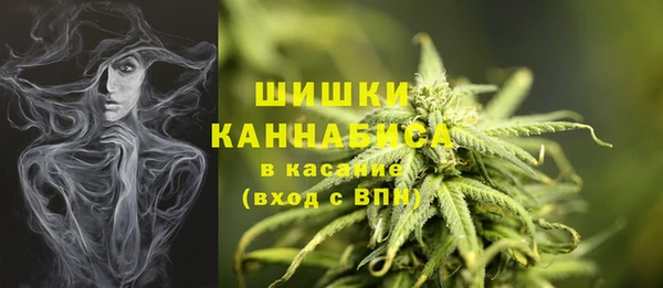 прущие грибы Елабуга