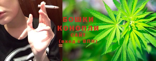 прущие грибы Елабуга