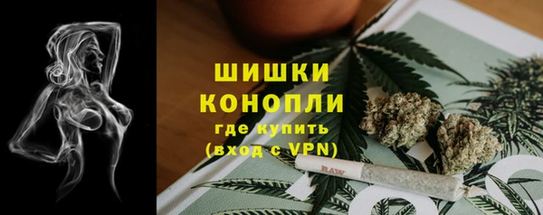 гидра Ельня