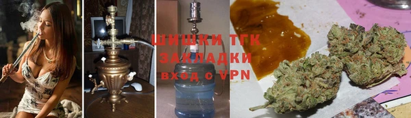 гидра Ельня