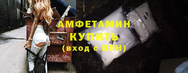гидра Ельня
