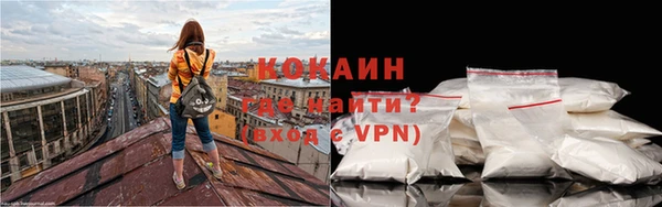 сатива Елизово