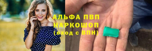гидра Ельня