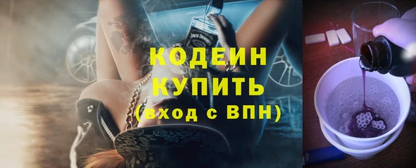 гидра Ельня