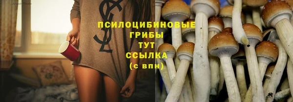 гидра Ельня