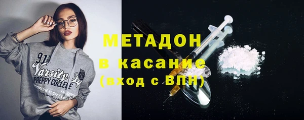 прущие грибы Елабуга