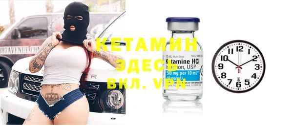 гидра Ельня