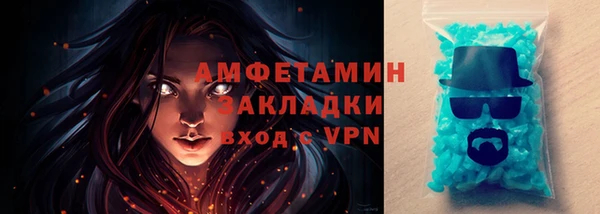 прущие грибы Елабуга
