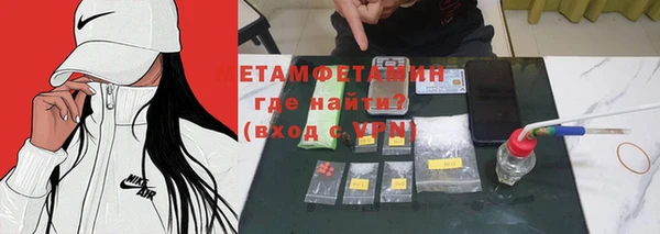 сатива Елизово