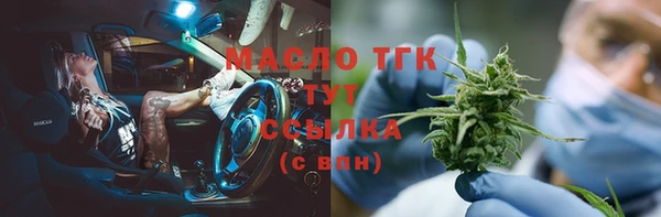 гидра Ельня
