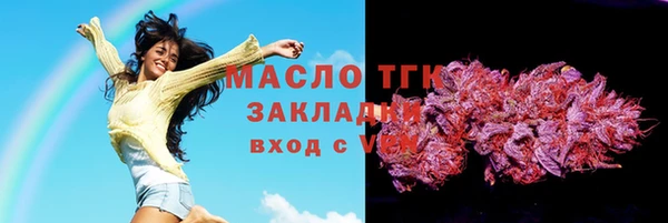 гидра Ельня