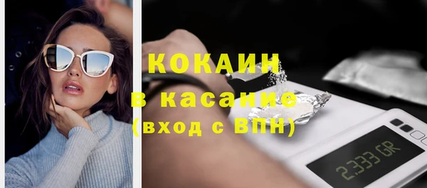 гидра Ельня