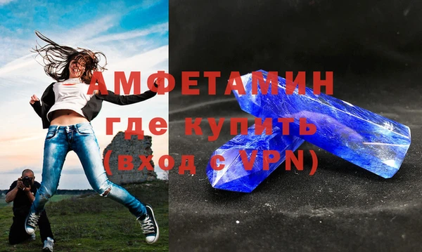 гидра Ельня