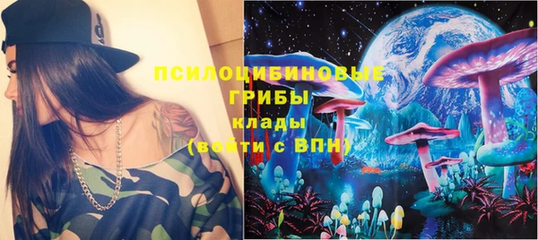 гидра Ельня