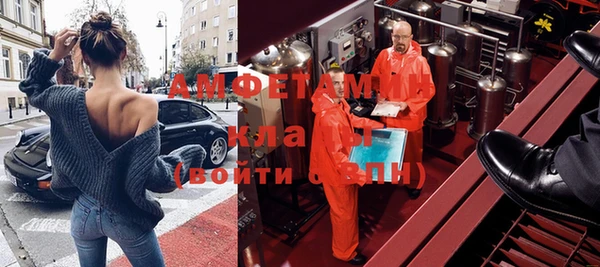 прущие грибы Елабуга