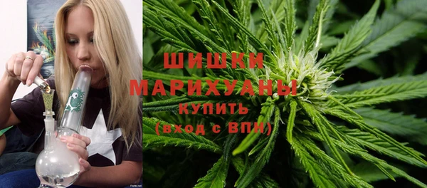 гидра Ельня