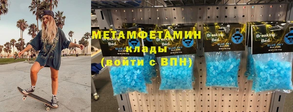 гидра Ельня