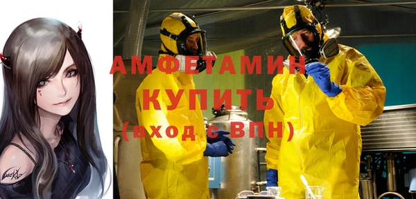 сатива Елизово