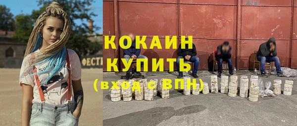 прущие грибы Елабуга