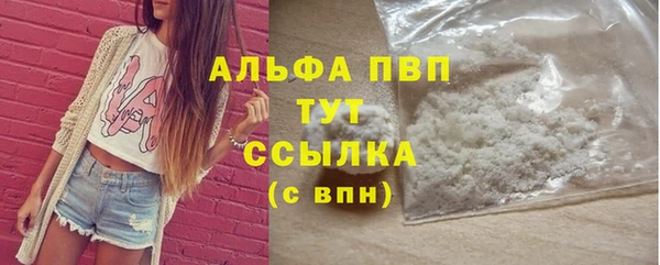 сатива Елизово