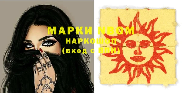 прущие грибы Елабуга