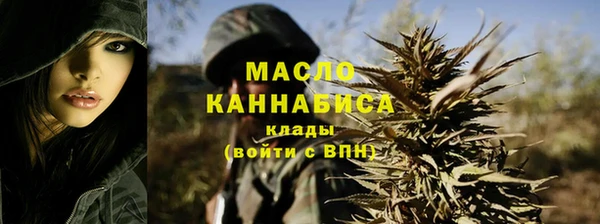 прущие грибы Елабуга