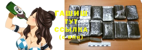 прущие грибы Елабуга