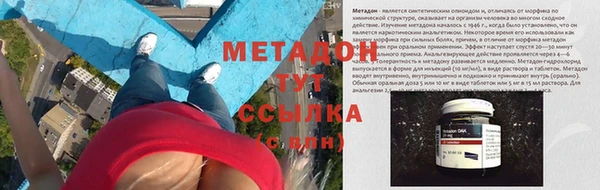 гидра Ельня