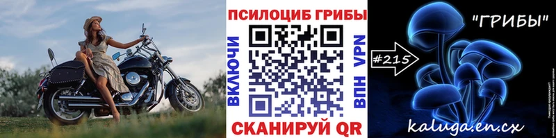 hydra   как найти закладки  Ярцево  Галлюциногенные грибы мухоморы 
