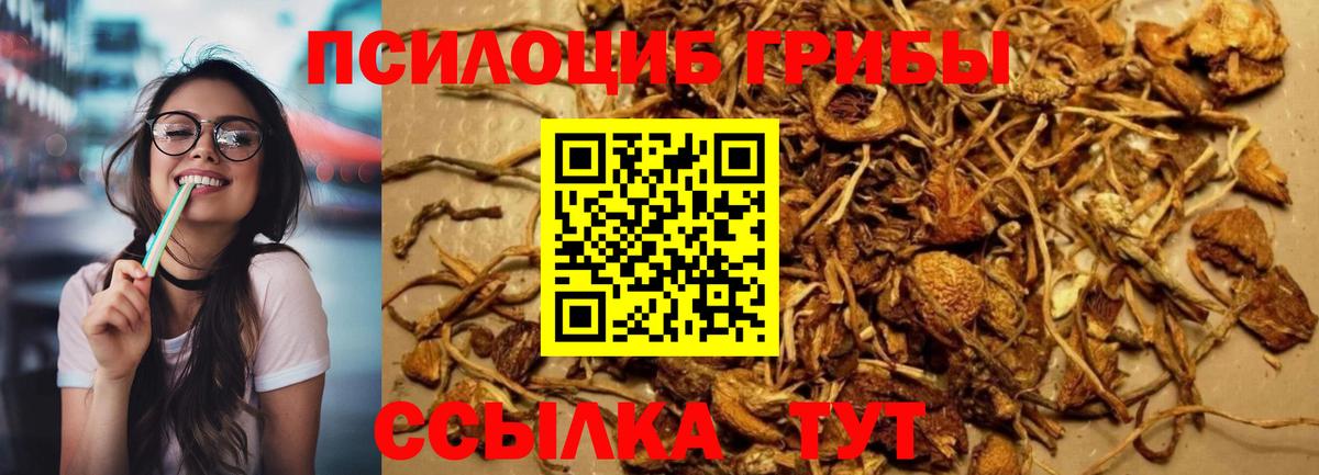 Галлюциногенные грибы мухоморы Ярцево