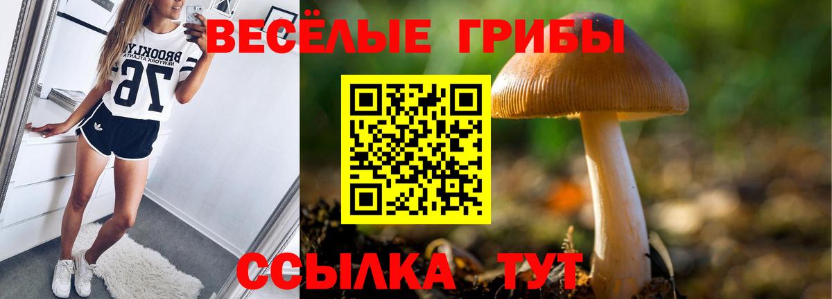 Псилоцибиновые грибы GOLDEN TEACHER  как найти закладки  Ярцево  Вход с VPN  Галлюциногенные грибы Psilocybine cubensis 